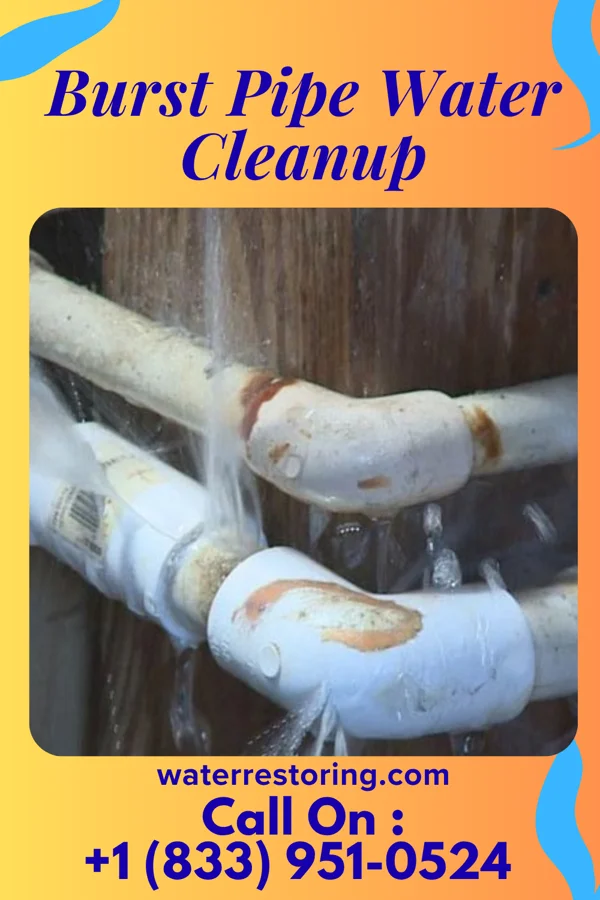 Burst Pipe Water Cleanup in Aquia Harbour, VA